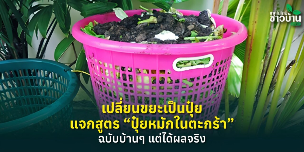 เปลี่ยนขยะเป็นปุ๋ย