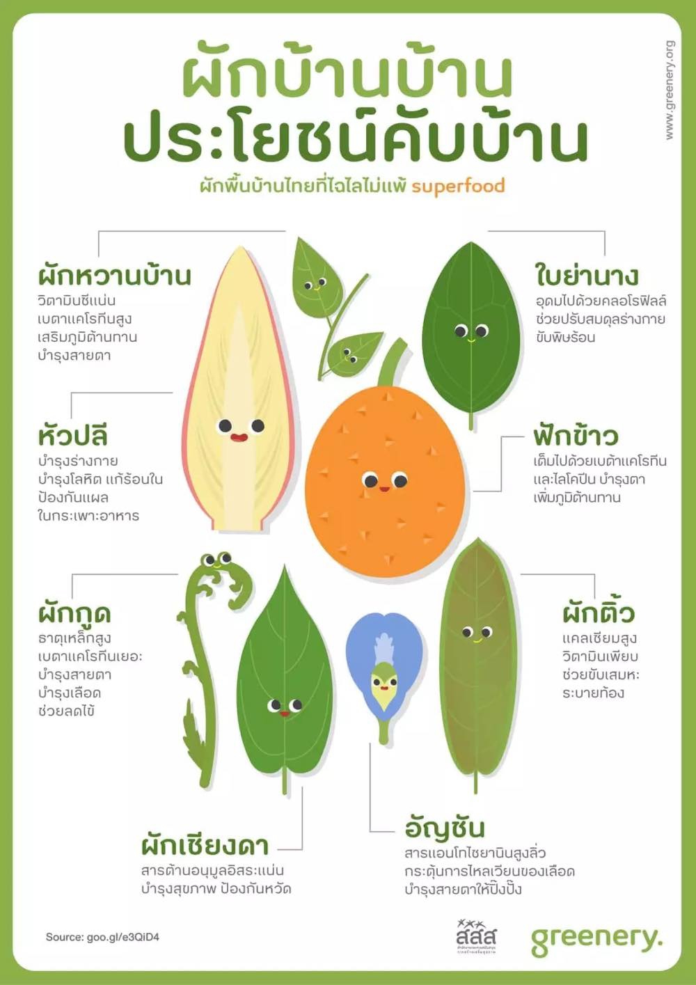 ผักบ้านบ้าน ประโยชน์คับบ้าน