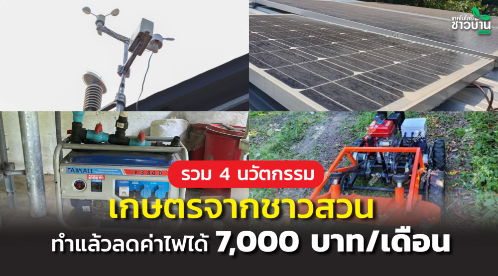 รวม4นวัตกรรมเกษตรจากชาวสวน