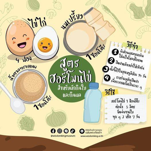 สูตร ฮอร์โมนไข่
