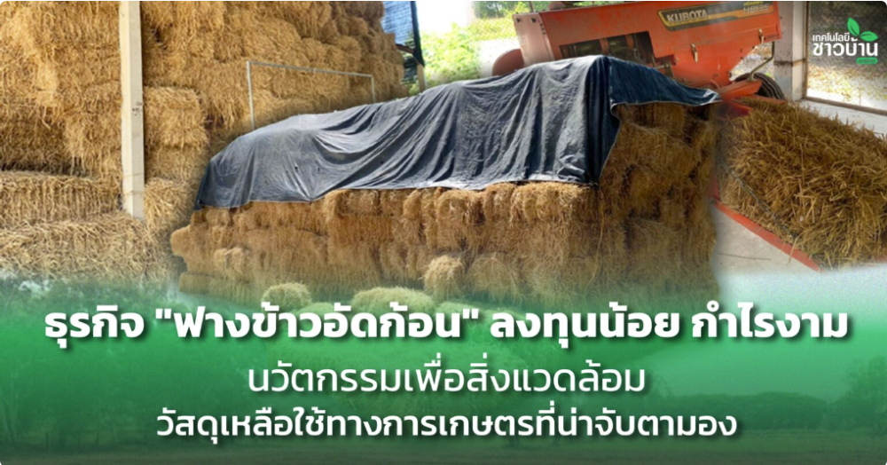 ฟางข้าวอัดก้อน..ลงทุนน้อย กำไรงาม