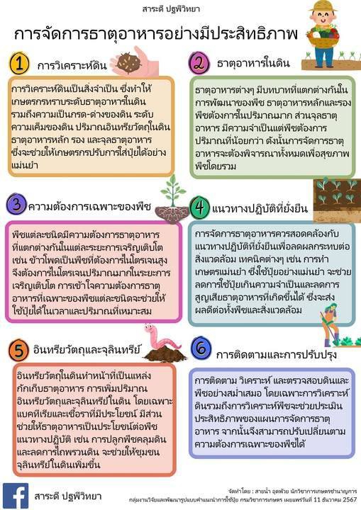 การจัดการธาตุอาหารอย่างมีประสิทธิภาพ