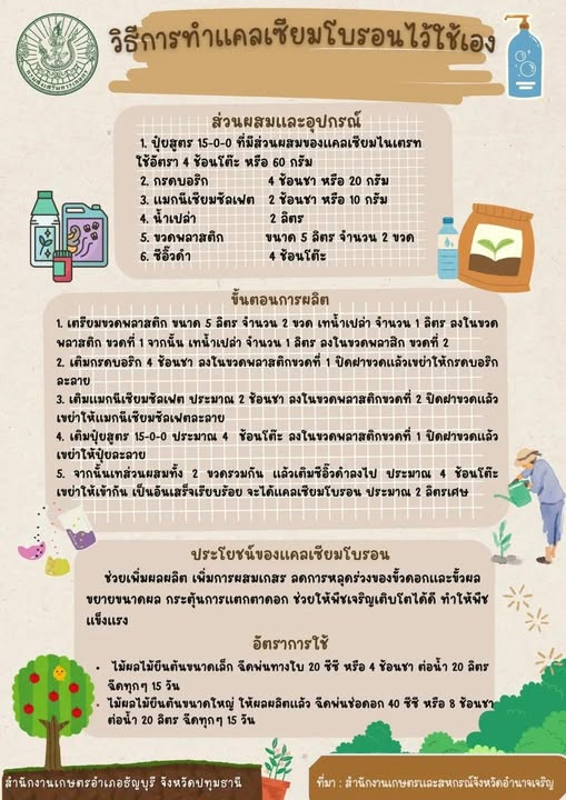 วิธีการทำแคลเชียมโบรอนไว้ใช้เอง