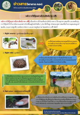 หลักการใช้ปุ๋ยอย่างมีประสิทธิภาพ