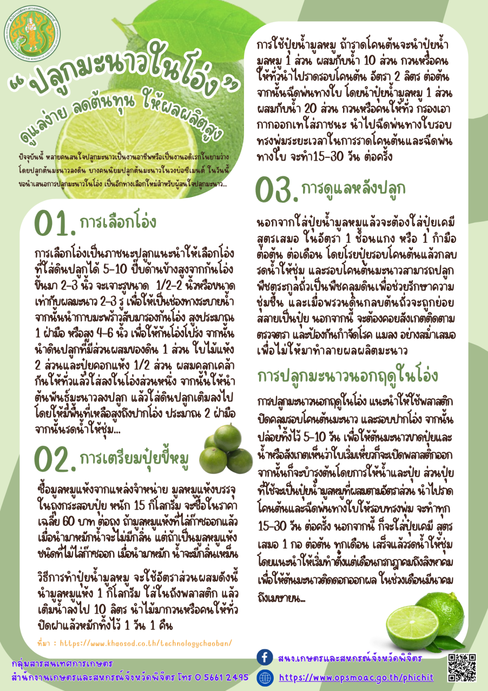 “ปลูกมะนาวในโอ่ง” ดูแลง่าย ลดต้นทุน ให้ผลผลิตสูง