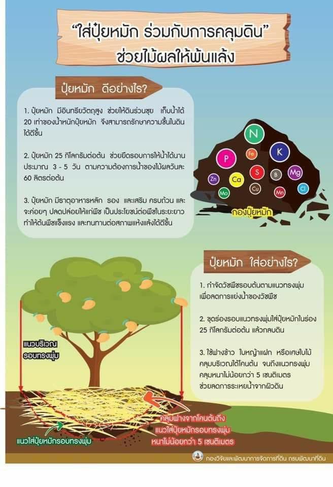 วิธีกการใส่ปุ๋ยหมัก