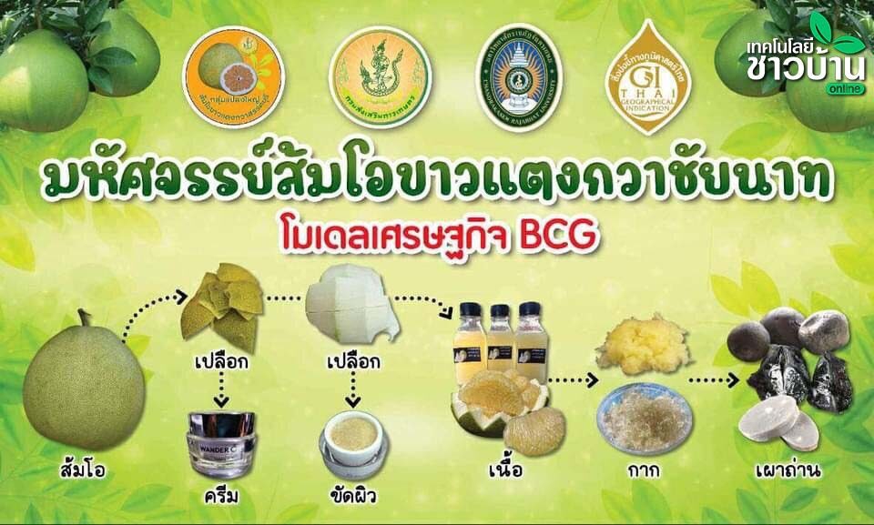 ส้มโอขาวแตงกวาชัยนาท