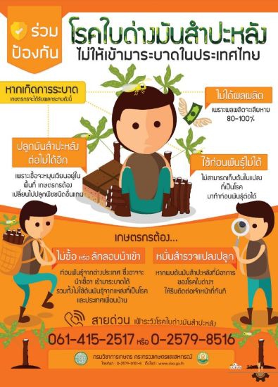 โรคใบด่างมันสำปะหลัง