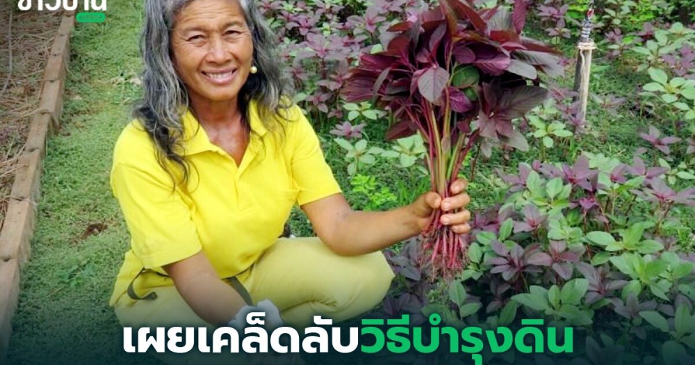 เกษตรกรลพบุรีแนะวิธีบำรุงดิน