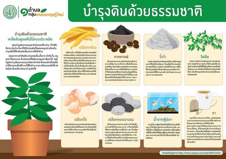 การบำรุงดินด้วยธรรมชาติ ประจำเดือน สิงหาคม 2568