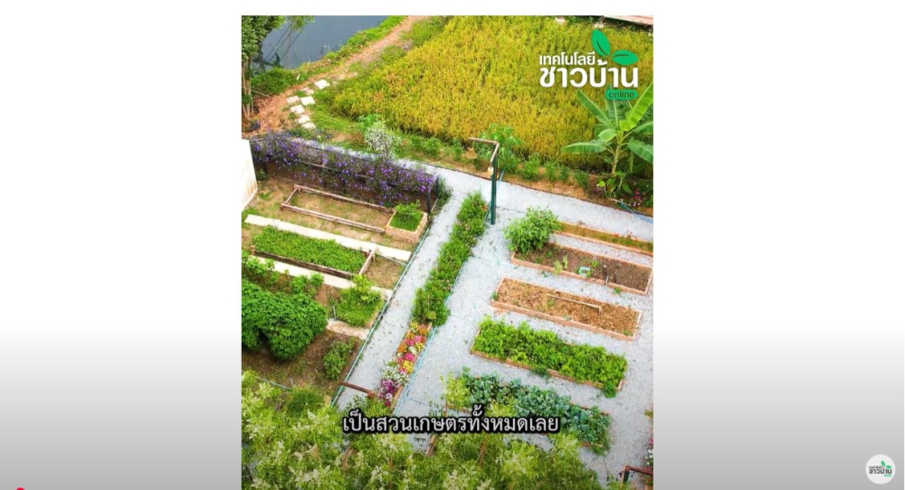 เกษตรไม่ใช่แค่ปลูก  แต่ต้องคิดให้เป็นธุรกิจ