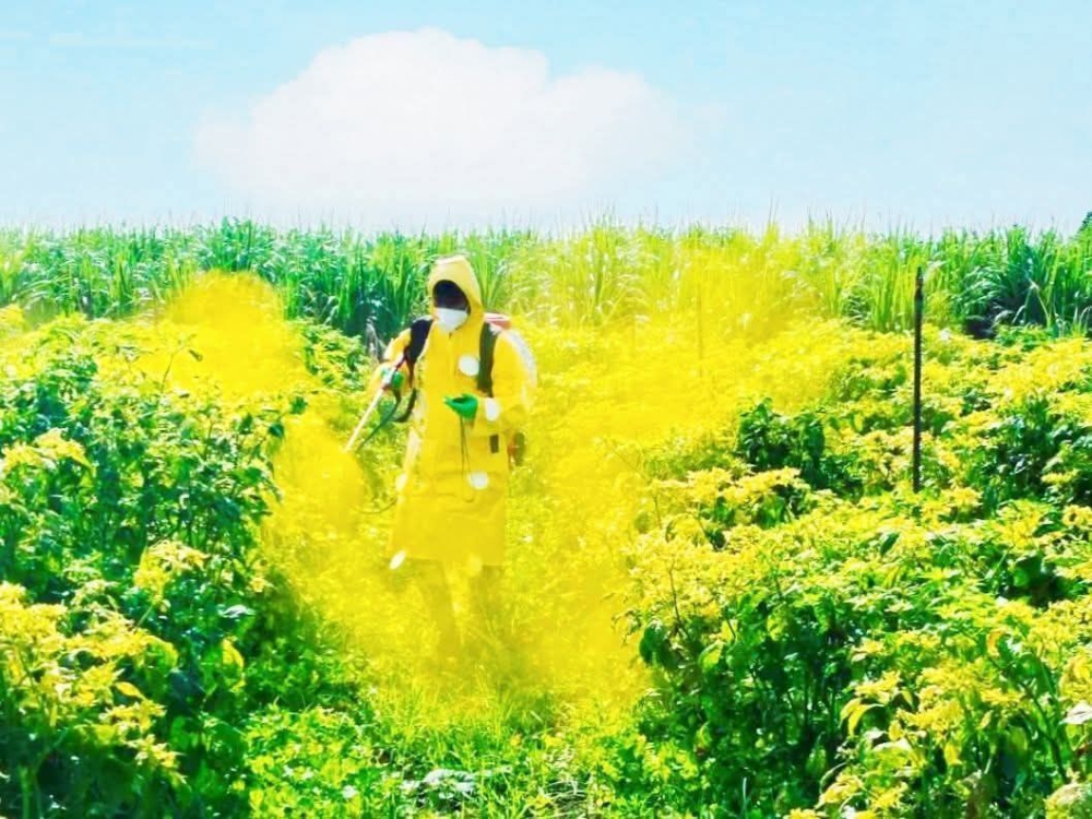 ปัจจัยที่ช่วยให้การใช้สารป้องกันกำจัดศัตรูพืช