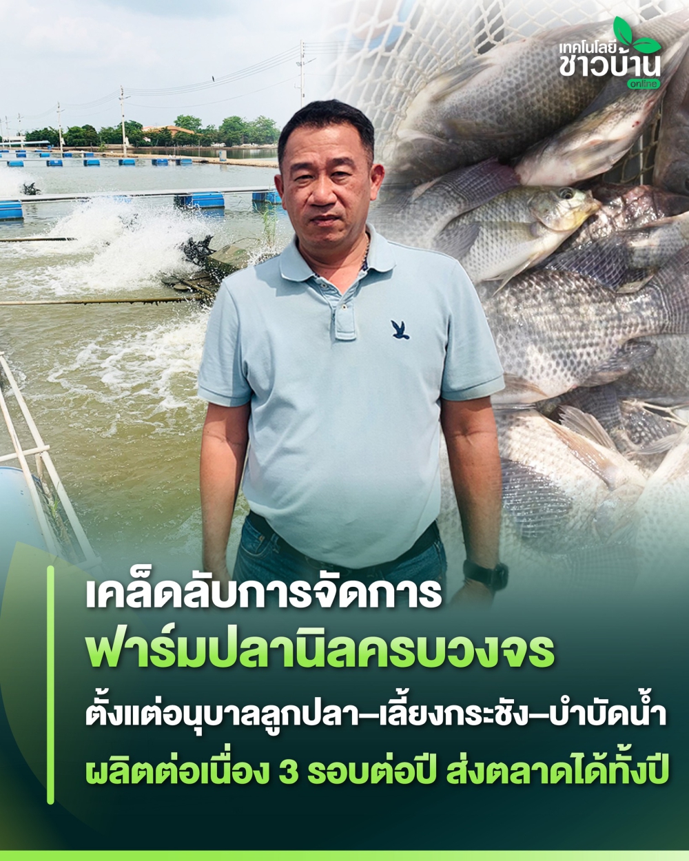 เทคนิคเลี้ยงปลานิลในกระชังบ่อดิน