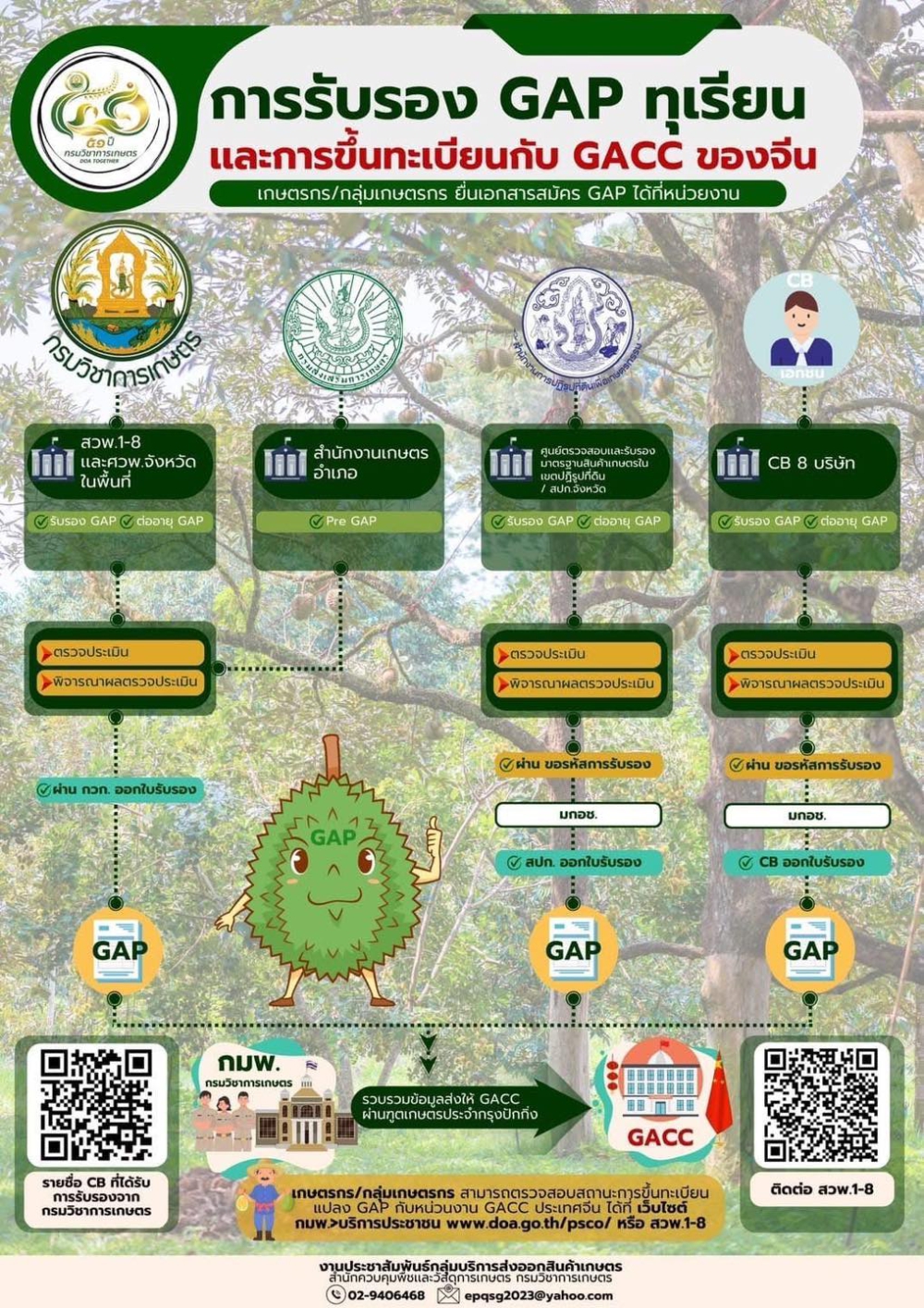 การรับรอง GAP ทุเรียน และการขึ้นทะเบียน GACC ของจีน