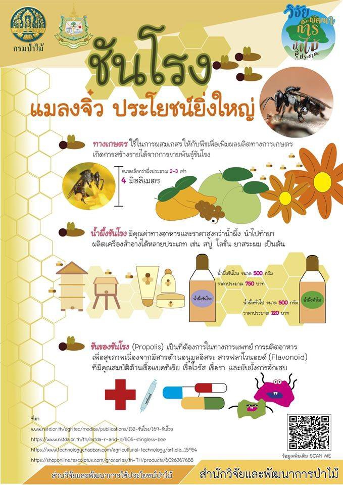 ชันโรง แมลงจิ๋วประโยชน์ยิ่งใหญ่