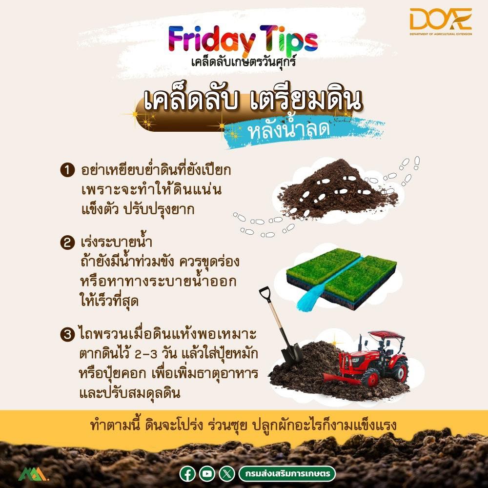 เคล็ดลับ การเตรียมดินหลังน้ำลด