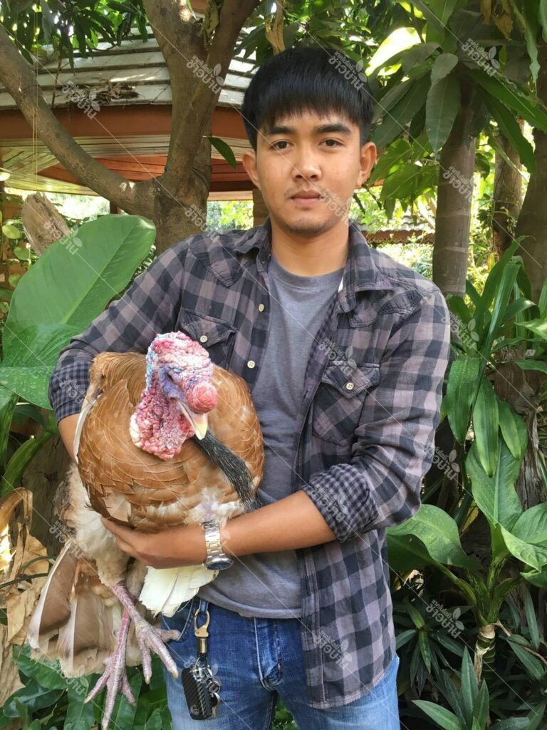 เกษตรกรรุ่นใหม่ไฟแรง!