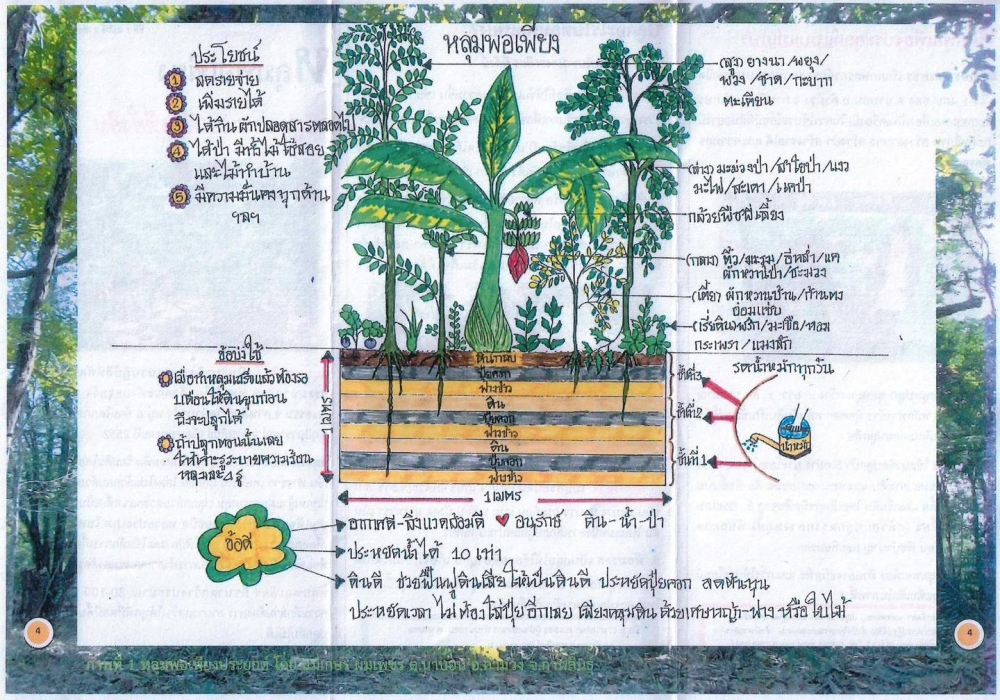 หลุมพอเพียง