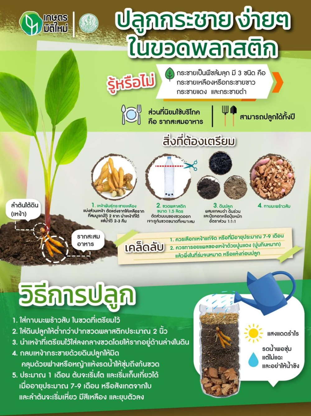 การปลูกกระชายง่ายๆ ในขวดพลาสติก