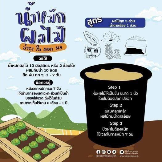 น้ำหมัก ผลไม้ ใช้ได้จรืง เก็บได้นาน