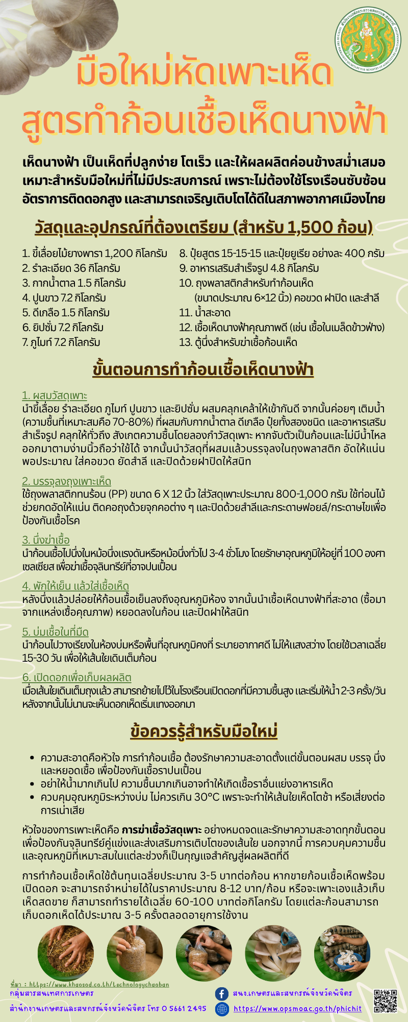 มือใหม่หัดเเพาะเห็ด สูตรทำก้อนเชื้อเห็ดนางฟ้า