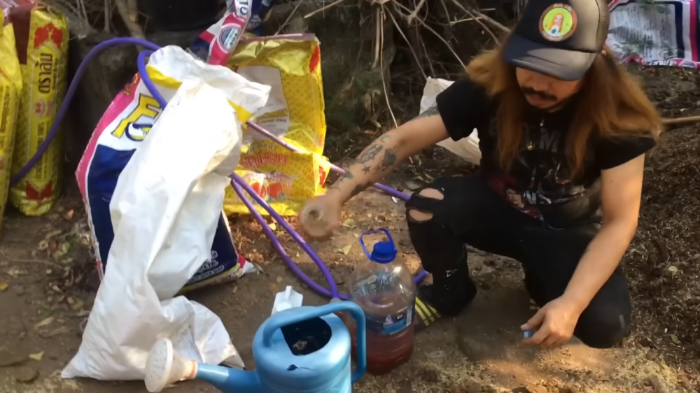 สอนทำดินปลูกผักแบบละเอียด ปลูกพืชผักได้ทุกชนิด