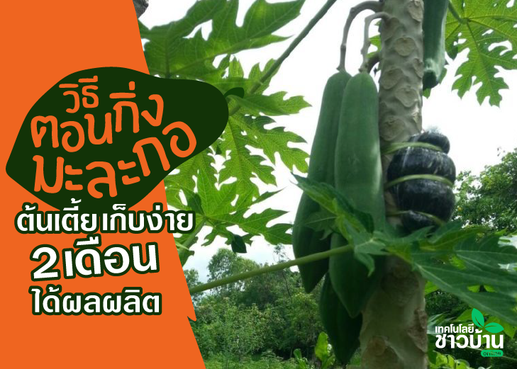 ปราชญ์เกษตรมหาสารคาม