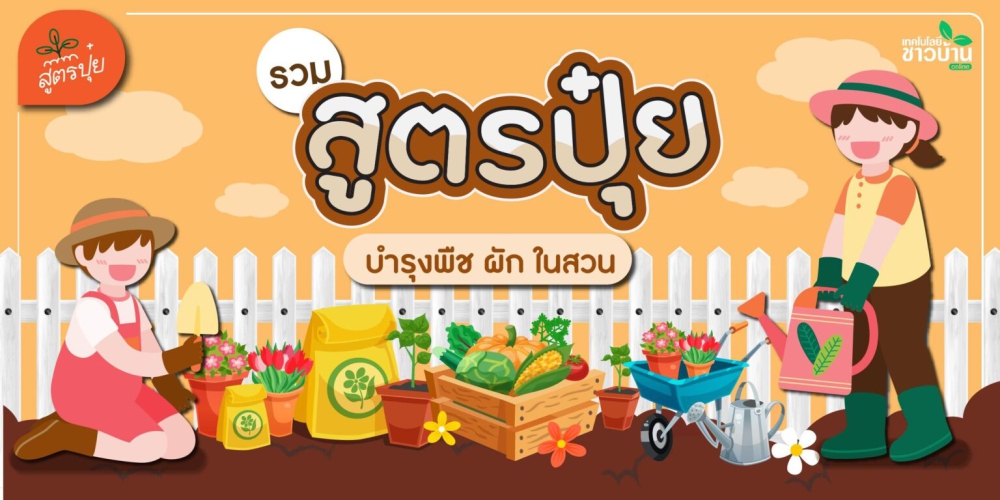 รวม12สูตรน้ำหมักชีวภาพ