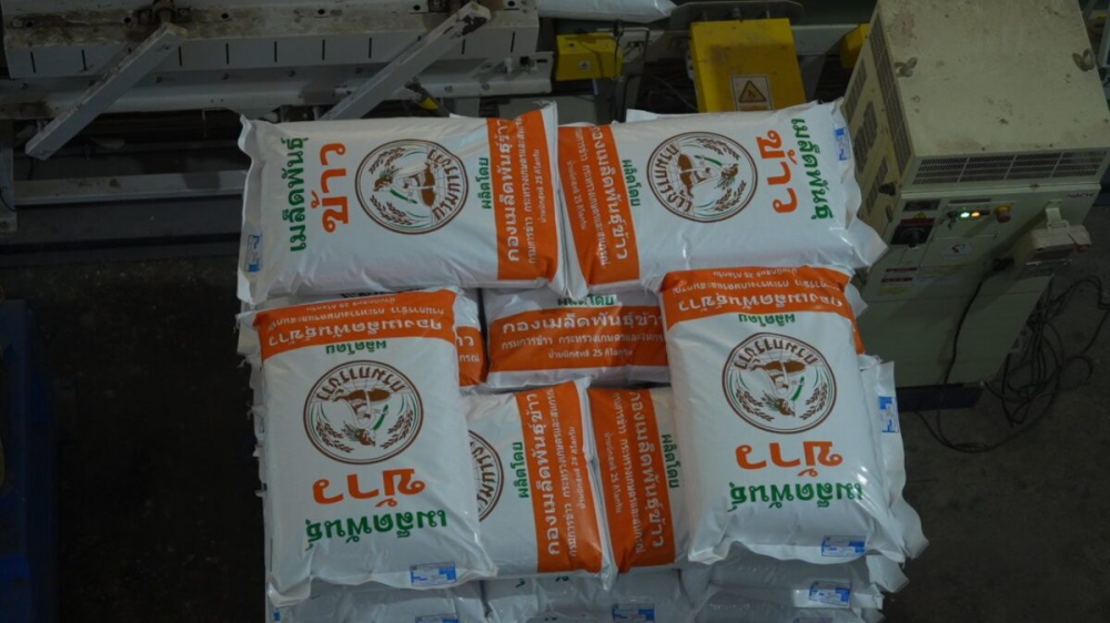 ผนึกกำลัง3ภาคีขับเคลื่อนข้าวกข85ช่วยลดต้นทุน