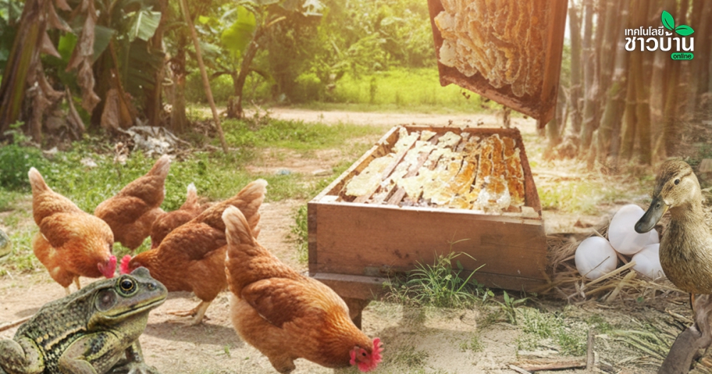เปิด 6 สัตว์น่าเลี้ยงสร้างสมดุล-เสริมรายได้ในสวน