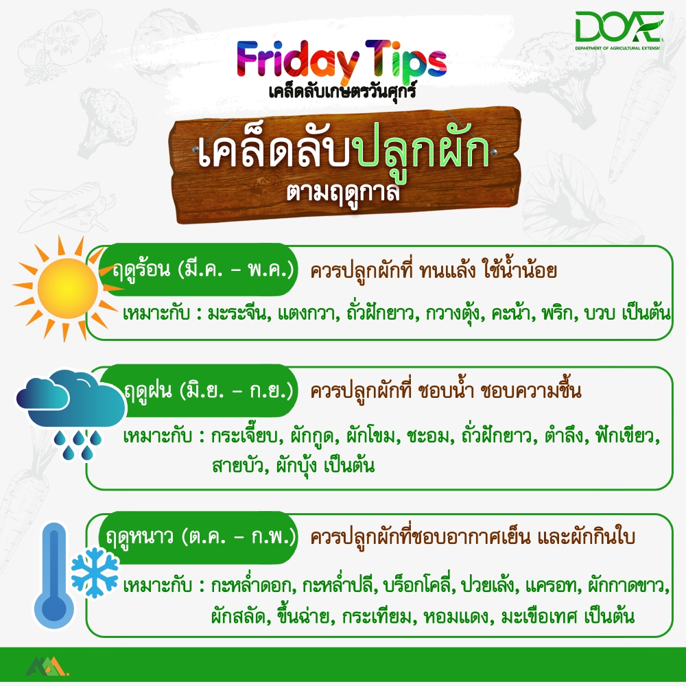 เคล็ดลับปลูกผักตามฤดูกาล