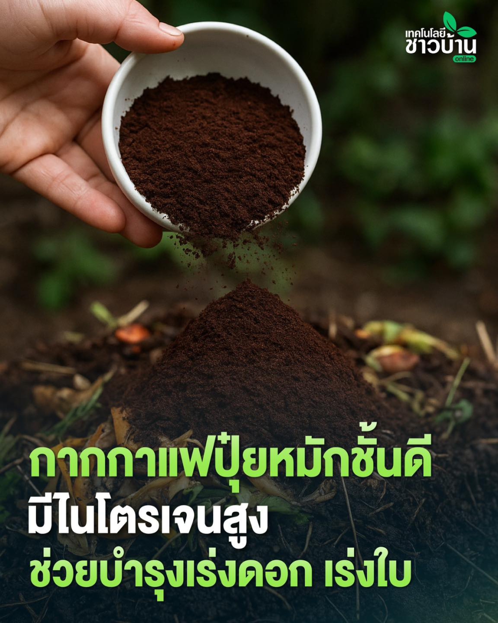 กากกาแฟสดที่ผ่านขั้นตอนการคั่ว