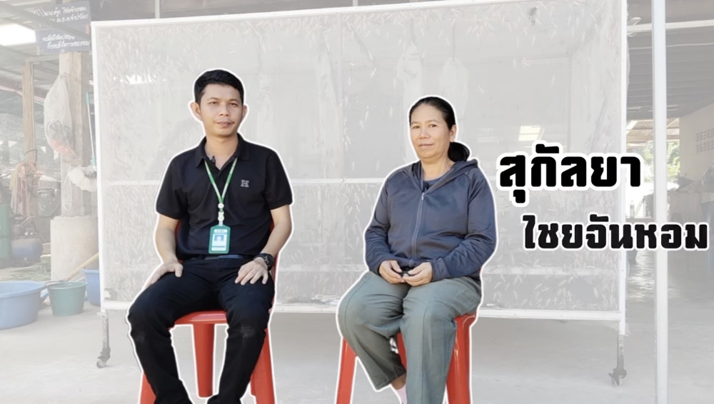 เทคนิคการเลี้ยงตั๊กแตน