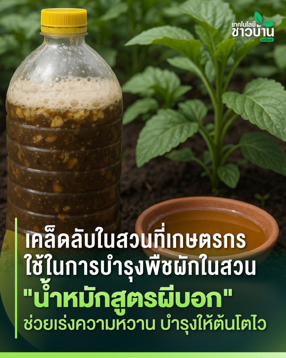 แจกสูตร“น้ำหมักสูตรผีบอก”