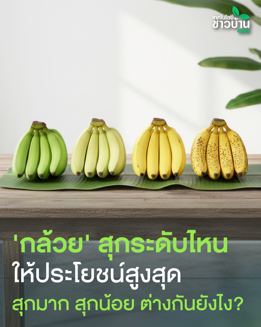 กล้วยสุกระดับไหนให้ประโยชน์สูงสุด