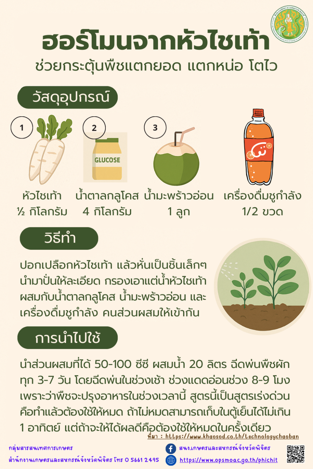 ฮอร์โมนจากหัวไชเท้า
