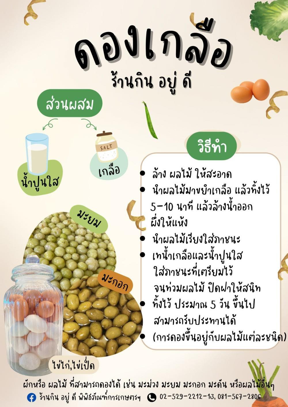 ดองเกลือ