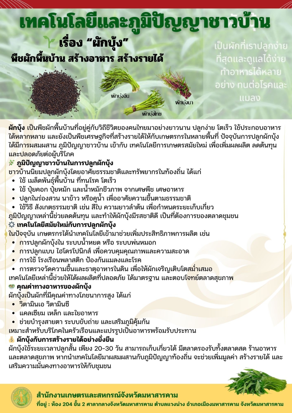 เรื่อง“ผักบุ้ง”พืชผักพื้นบ้านสร้างอาหาร