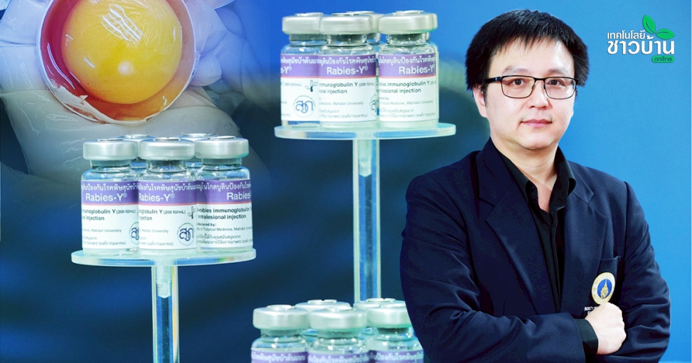 “ไข่ไก่”ไม่ใช่แค่อาหารแต่ช่วยผลิตยา