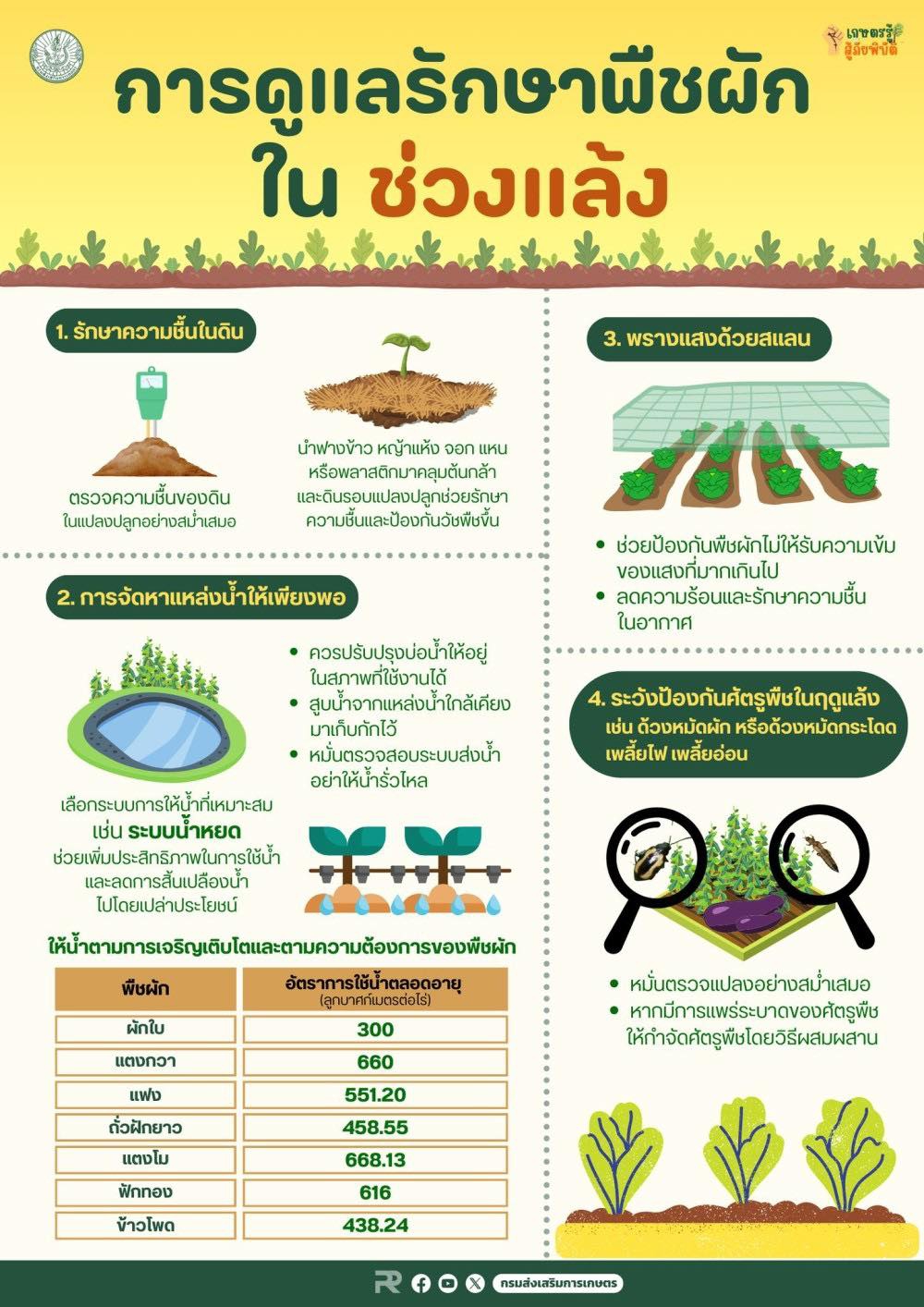 การดูแลรักษาพืชผักใน ช้วงแล้ง