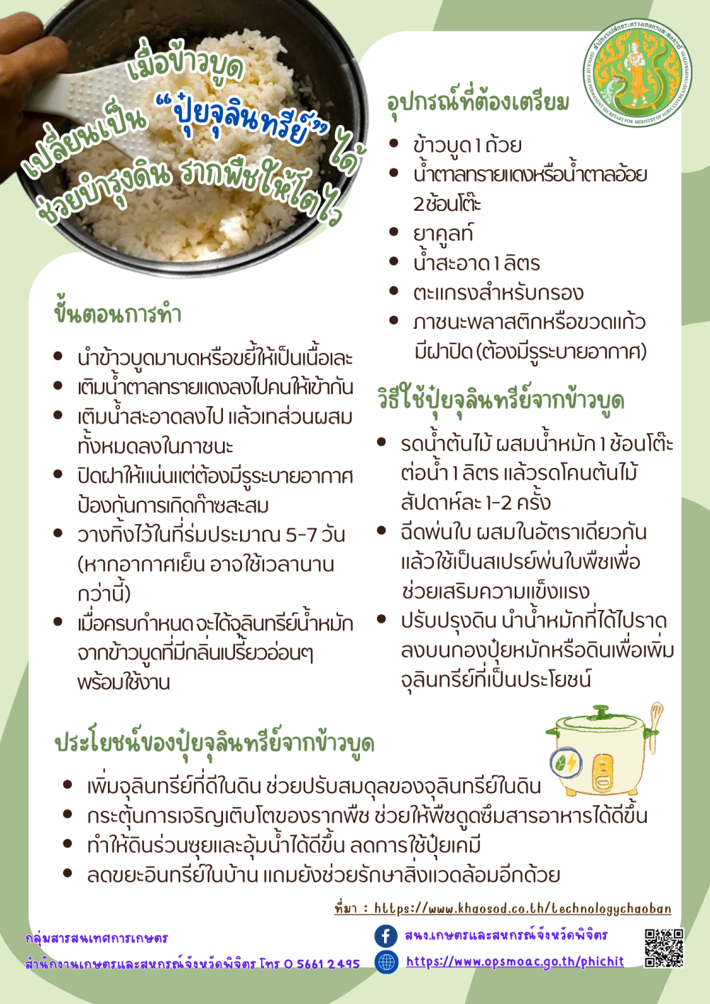 เมื่อข้าวบูดเปลี่ยนเป็น