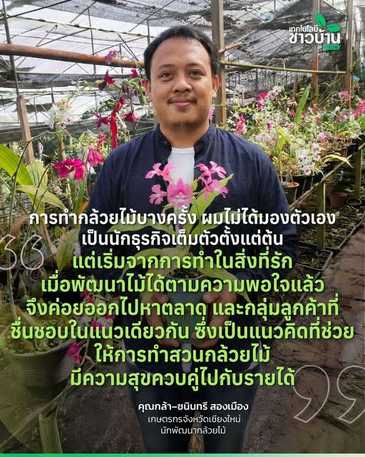 การทำกล้วยไม้