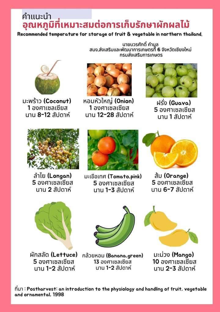 คำแนะนำ อุณหภูมิที่เหมาะสมต่อการเก็บรักษาผักผลไม้