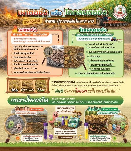 ทางเลือกวันนี้ กำหนดสุขภาพดินในระยะยาว