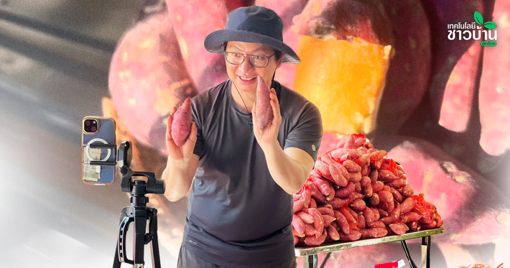 อดีตนักโฆษณาเผยวิชาญี่ปุ่น