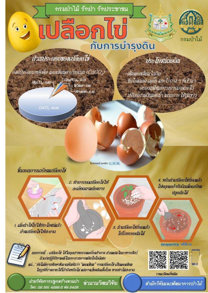 เปลือกไข่ กับการบำรุงดิน