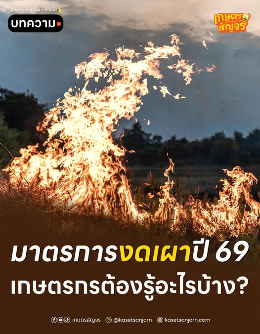 มาตรการงดเผาปี 69 เกษตรกรต้องรู้อะไรบ้าง