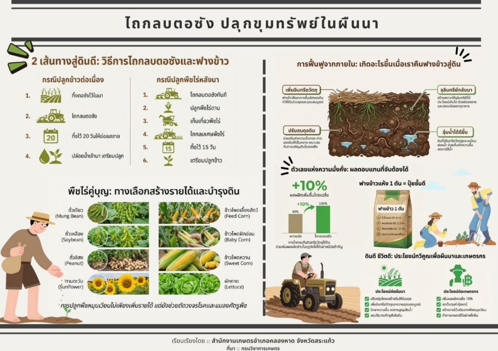 ไถกลบตอซัง ปลุกขุมทรัพย์ในผืนนา