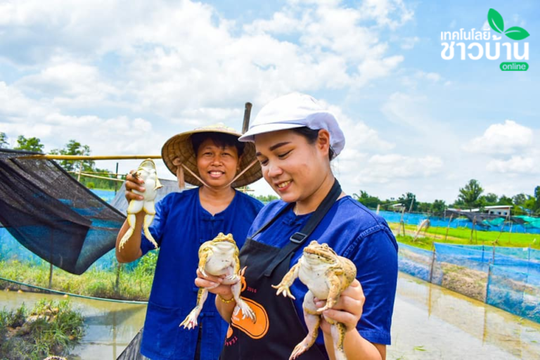 คุณสันติ สุนีย์ และ คุณจุฑารัตน์ ชูประดิษฐ์ (ภรรยา)