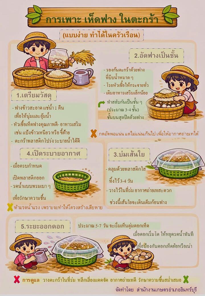 เพาะเห็ดฟาง